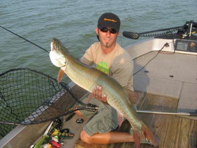 Another fatty caught trolling